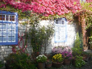 Traditional accommodation in Saxonis Houses Guesthouse - Hotel in Megalo papigo, Zagorohoria, Epirus, Ioannina | Autumn leaves